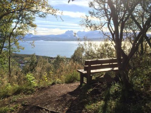 a wooden bench sitting on a hill next to a tree at Well-Equipped Apartment with Stunning Views in Bodø