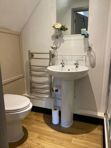 a bathroom with a white sink and a toilet at The Hollybush Inn and B&B in Priors Marston