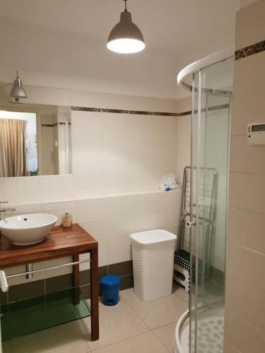 une salle de bain avec un lavabo et une douche dans l'établissement Appartement La Tranquillité, 2mn à pieds mer, à Fréjus