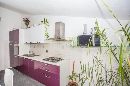 特羅吉爾的住宿－Apartman PANTAN，厨房配有紫色和白色的橱柜和植物