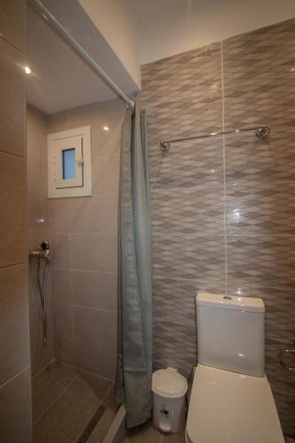 a bathroom with a toilet and a shower at STEFANIA Apartment in Ágios Rókkos