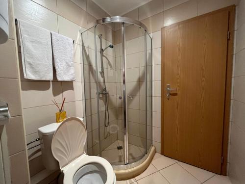 a bathroom with a shower and a toilet at Harmony Hills Poseidon in Rogachevo