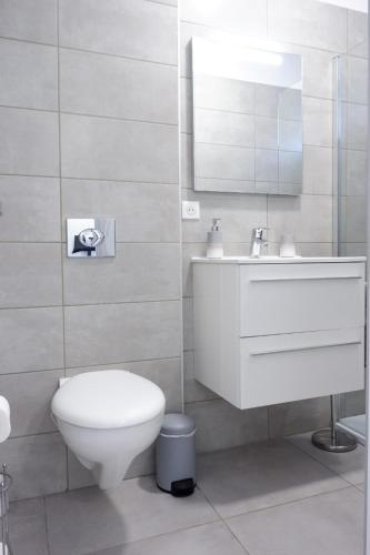 une salle de bain avec toilettes, lavabo et miroir dans l'établissement N7 Maison T2 climatisé avec jacuzzi privé, à Ajaccio
