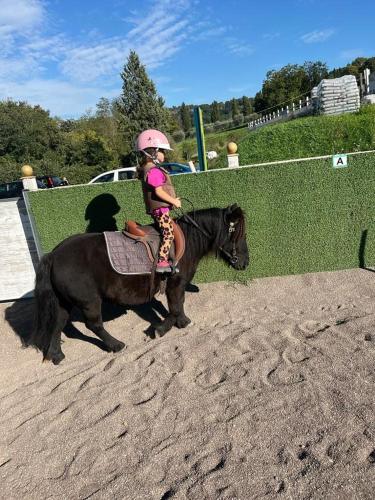 a little girl riding on top of a pony at B&B Al Felcino in Fabro