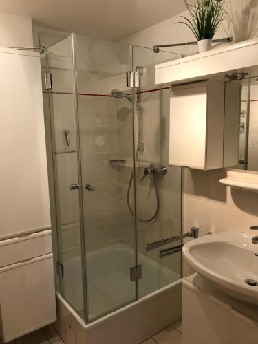 een glazen douche in een badkamer met een wastafel bij Ferienwohnung Weitblick am Kurpark in Braunlage