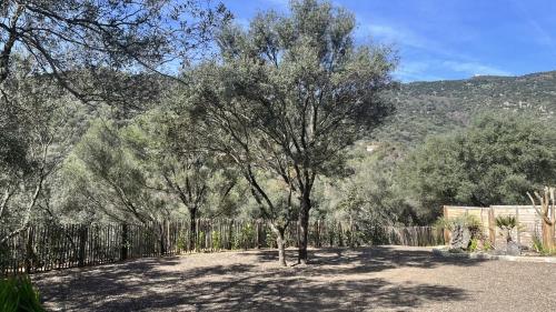 Fotografia z galérie ubytovania N8 Maison T2 climatisé v destinácii Ajaccio