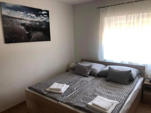 1 dormitorio con 1 cama con 2 almohadas y ventana en Csillag Virág Vendégház, en Ábrahámhegy