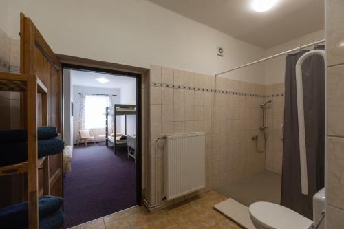 uma casa de banho com um chuveiro, um WC e um lavatório. em Chata u kostela em Kořenov