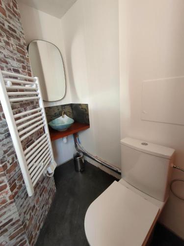 uma casa de banho com um WC branco e um espelho. em Ty Merzhin em Huelgoat