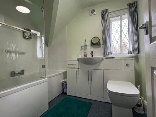 a bathroom with a toilet and a sink and a shower at Pentre Cerrig Country House in Llanferres