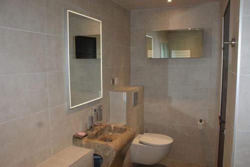 ein Badezimmer mit einem WC, einem Waschbecken und einem Spiegel in der Unterkunft Villa Escondida 1 in Blonay
