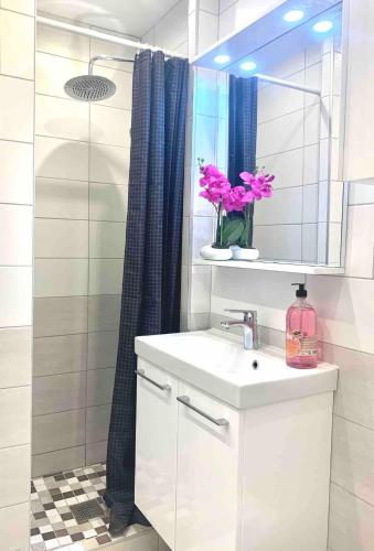 une salle de bain avec un lavabo, un miroir et une douche dans l'établissement Maya Bay Studio équipé avec climatisation proche gare et centre, à Annecy