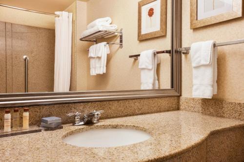 a bathroom with a sink and a mirror at Wingate by Wyndham Chesapeake in Chesapeake