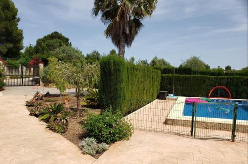 un jardín con piscina y una palmera en Casa Breizh en Monserrat