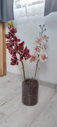 a vase filled with pink flowers sitting on a table at Natura Panzió Szilvásvárad in Szilvásvárad