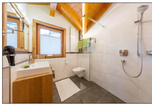 a bathroom with a sink and a shower and a toilet at Ferienchalet Elisabeth in Steeg