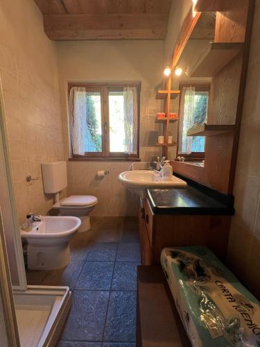 a bathroom with a sink and a toilet and a mirror at Chalet Oasi della Volpe in Cà Paini