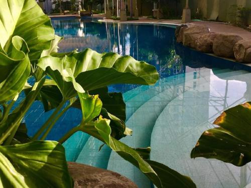 una piscina con agua azul y plantas en ella en Fast Wifi 400 Mbps at Kasara Urban Resort Residences with Netflix and Pool Access, en Manila