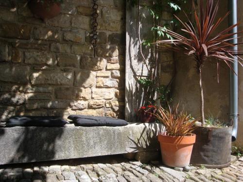 Φωτογραφία από το άλμπουμ του Casa Pino Pina σε Motovun