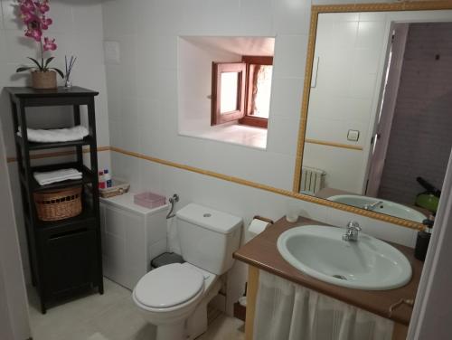 a bathroom with a toilet and a sink and a mirror at Casa Rural La Peña en Unquera (Cantabria) in Unquera