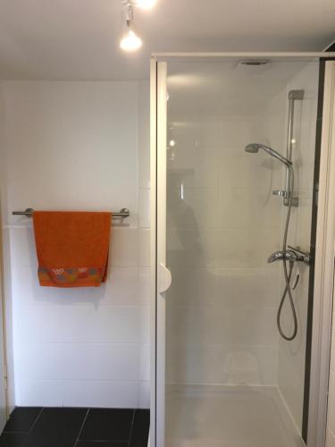 een badkamer met een douche en een glazen deur bij Ferienhaus Spreewiesen in Lübben in Lübben