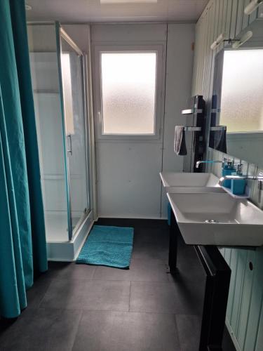 ノガロにあるLes Cerisiers 2のバスルーム(洗面台2台、シャワー付)、窓が備わります。