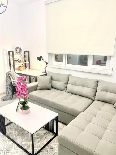 Гостиная зона в -Daniels Suite -Close to airport and railway station