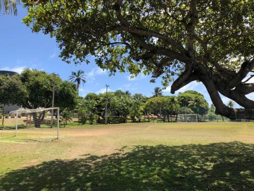 a soccer field with a tree and a goal at Blue Marlin Cotovelo - Vista Vale - Reformado in Parnamirim