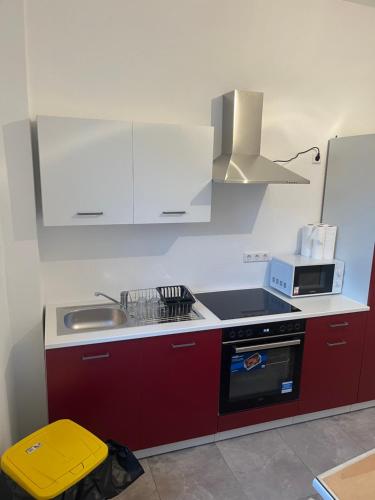 a kitchen with red cabinets and a stove top oven at 1 Zimmer für 2 Personen Bruchsal ruhige Lage (Monteurzimmer) in Bruchsal