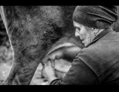 a woman is standing next to a tree at Ushguli Hotel Riho in Ushguli