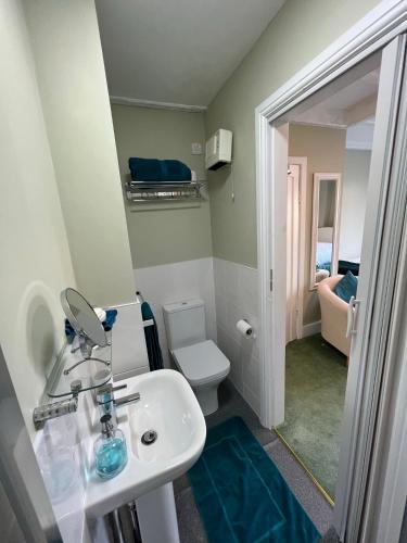 a small bathroom with a sink and a toilet at Pentre Cerrig Country House in Llanferres