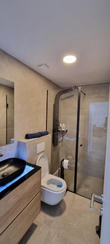 a bathroom with a toilet and a shower at Apartman Gaby in Podstrana