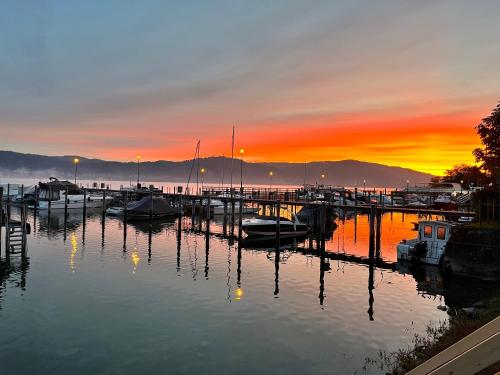 a group of boats docked in a marina at sunset at Hotel Sommerhaus Garni am See in Bodman-Ludwigshafen