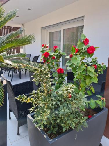 Residence Klima House de Vilos – Photos 3