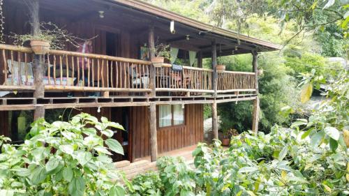 une maison en bois avec une terrasse dans une forêt dans l'établissement Hostal y cabañas los Juanes, à Jardín