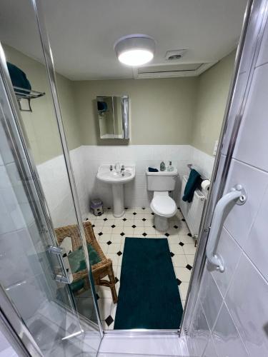 a bathroom with a shower and a toilet and a sink at Pentre Cerrig Country House in Llanferres