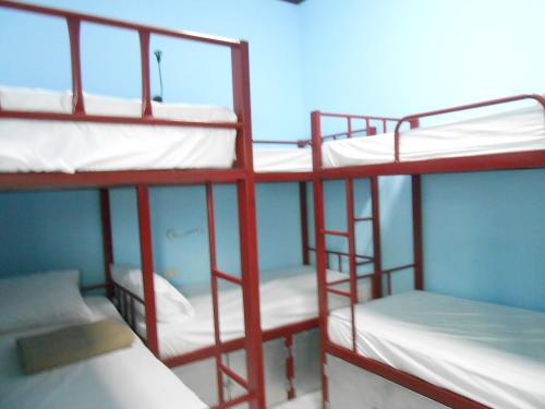 Postel nebo postele na pokoji v ubytování Lucky Backpacker Hostel