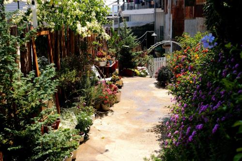 a garden center filled with lots of plants and flowers at Soul PnB Homestay in Da Lat