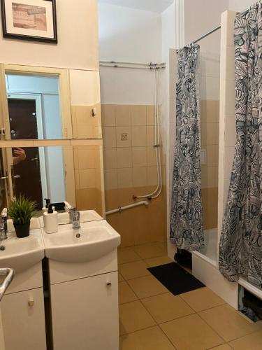 y baño con lavabo y ducha. en Cracow Old Town Rooms, en Cracovia