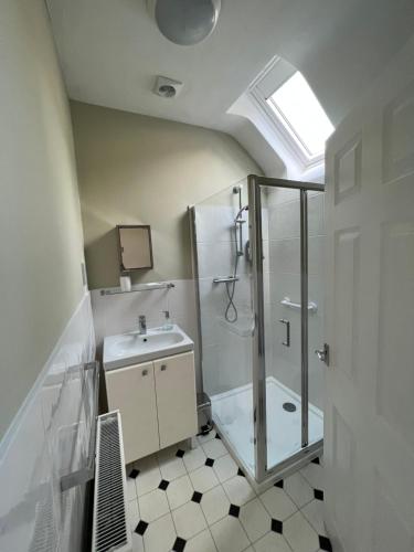 a bathroom with a shower and a sink at Pentre Cerrig Country House in Llanferres