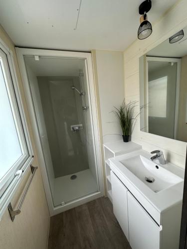 a bathroom with a shower and a sink and a mirror at Au p’tit bonheur in La Roque-dʼAnthéron
