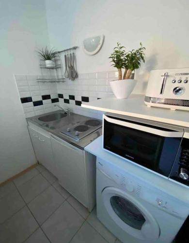 una cucina con lavatrice e lavandino di Mini-Villa climatisée Porto-Vecchio a Porto Vecchio