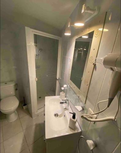 bagno con lavandino, servizi igienici e specchio di Mini-Villa climatisée Porto-Vecchio a Porto Vecchio