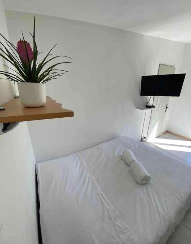una camera con un letto bianco e una pianta su una mensola di Mini-Villa climatisée Porto-Vecchio a Porto Vecchio