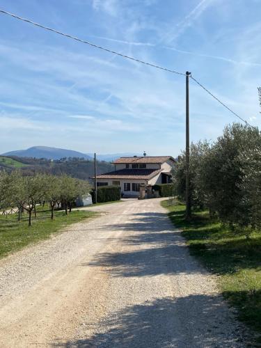een onverharde weg voor een huis bij Casa vacanze fra gli ulivi in Morano Madonnuccia