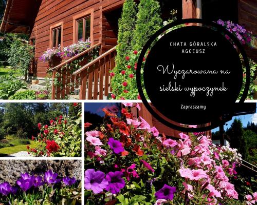 a collage of photos with flowers in front of a building at Chata Góralska Aggeusz in Wisła