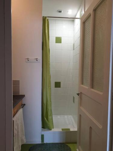 La salle de bains est pourvue d'une douche avec rideau de douche vert. dans l'établissement La Part des Anges votre studio à la campagne, à Saint-Laurent-du-Plan