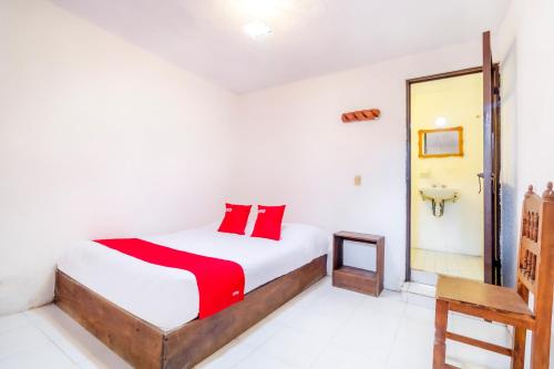 a bedroom with a bed with red pillows and a mirror at OYO Hotel La Luna in San Cristóbal de Las Casas