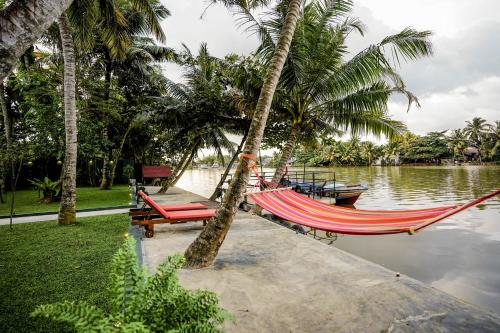 a couple of hammocks on the water next to palm trees at River Inn in Matara