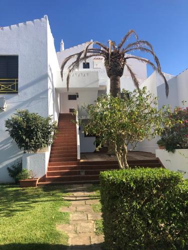 a palm tree in front of a white house at Vista Mar Aldeia de Marim in Marim